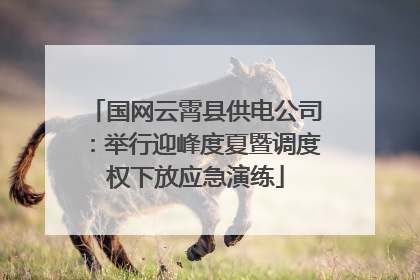 国网云霄县供电公司：举行迎峰度夏暨调度权下放应急演练