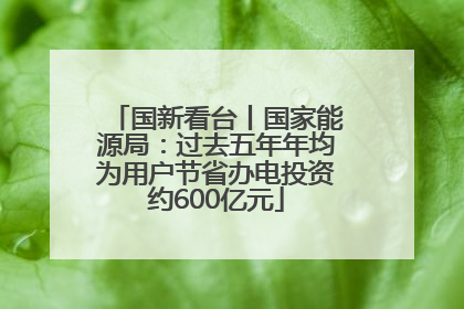国新看台丨国家能源局：过去五年年均为用户节省办电投资约600亿元