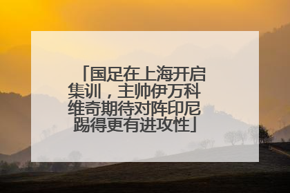 国足在上海开启集训，主帅伊万科维奇期待对阵印尼踢得更有进攻性