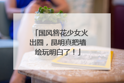 国风簪花少女火出圈，昆明真把墙绘玩明白了！