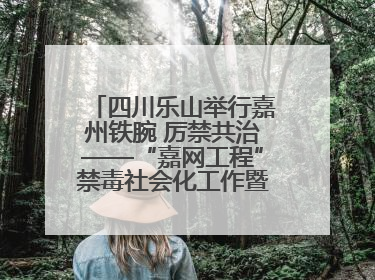 四川乐山举行嘉州铁腕 厉禁共治——“嘉网工程”禁毒社会化工作暨毒品集中销毁启动仪式