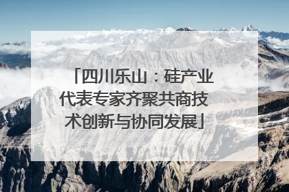 四川乐山：硅产业代表专家齐聚共商技术创新与协同发展
