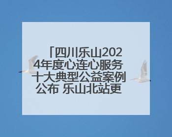 四川乐山2024年度心连心服务十大典型公益案例公布 乐山北站更名、绿心路井盖治理等上榜