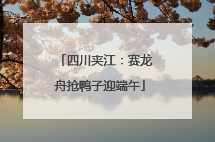四川夹江：赛龙舟抢鸭子迎端午
