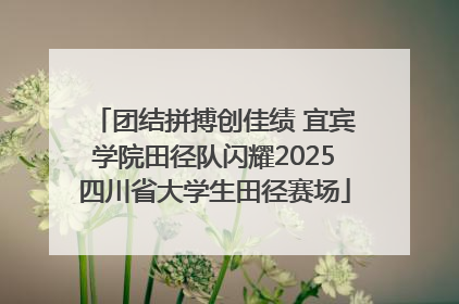 团结拼搏创佳绩 宜宾学院田径队闪耀2025四川省大学生田径赛场