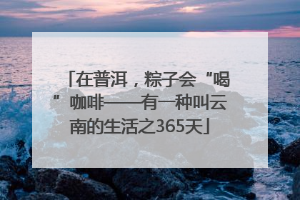 在普洱，粽子会“喝”咖啡——有一种叫云南的生活之365天