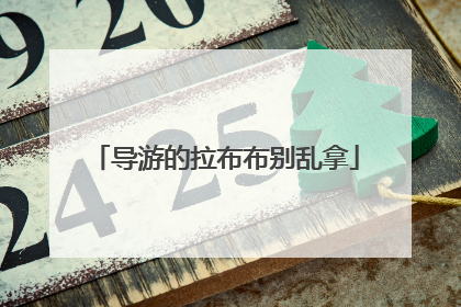 导游的拉布布别乱拿