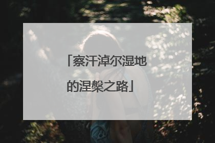 察汗淖尔湿地的涅槃之路