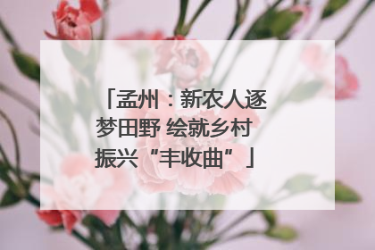 孟州：新农人逐梦田野 绘就乡村振兴“丰收曲”