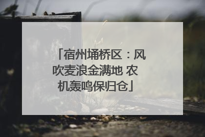 宿州埇桥区：风吹麦浪金满地 农机轰鸣保归仓