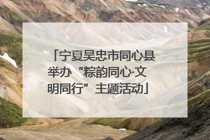 宁夏吴忠市同心县举办“粽韵同心·文明同行”主题活动