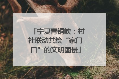 宁夏青铜峡：村社联动共绘“家门口”的文明图景