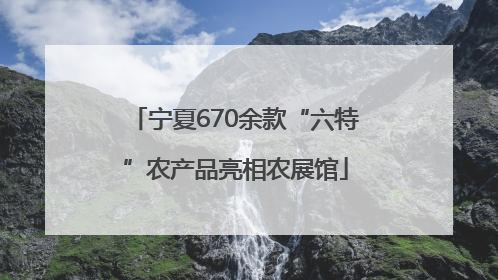 宁夏670余款“六特”农产品亮相农展馆
