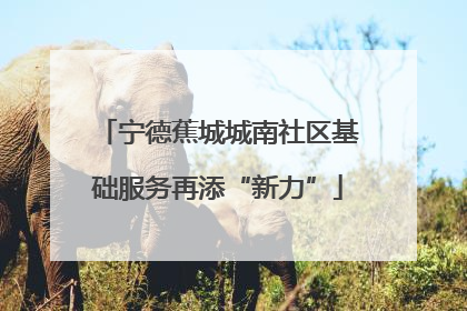 宁德蕉城城南社区基础服务再添“新力”