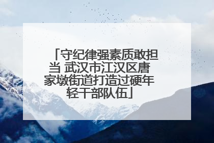 守纪律强素质敢担当 武汉市江汉区唐家墩街道打造过硬年轻干部队伍