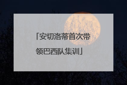 安切洛蒂首次带领巴西队集训