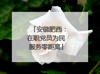 安徽肥西：在职党员为民服务零距离