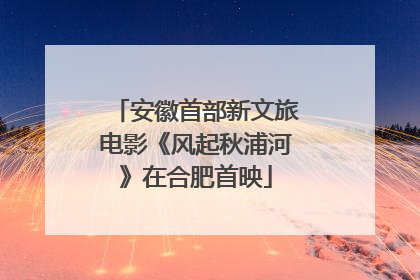 安徽首部新文旅电影《风起秋浦河》在合肥首映