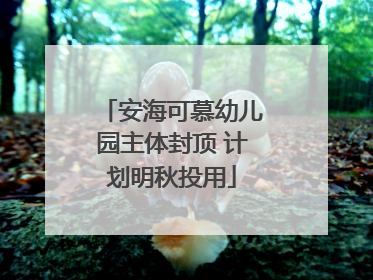 安海可慕幼儿园主体封顶 计划明秋投用