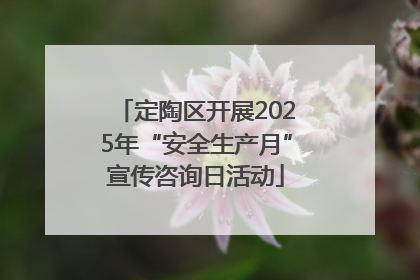 定陶区开展2025年“安全生产月”宣传咨询日活动