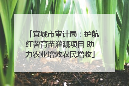 宜城市审计局：护航红薯育苗灌溉项目 助力农业增效农民增收