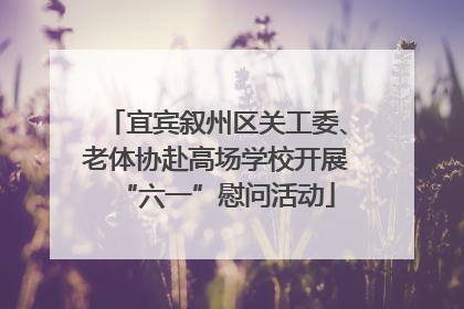 宜宾叙州区关工委、老体协赴高场学校开展“六一”慰问活动
