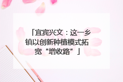 宜宾兴文：这一乡镇以创新种植模式拓宽“增收路”