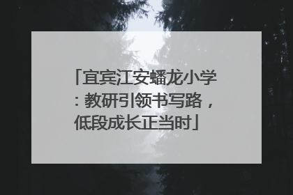 宜宾江安蟠龙小学：教研引领书写路，低段成长正当时