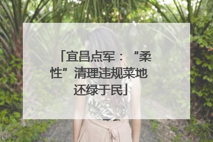 宜昌点军：“柔性”清理违规菜地 还绿于民