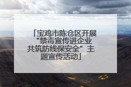 宝鸡市陈仓区开展“禁毒宣传进企业 共筑防线保安全”主题宣传活动