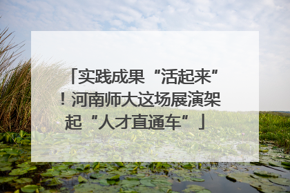实践成果“活起来”！河南师大这场展演架起“人才直通车”
