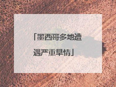 墨西哥多地遭遇严重旱情