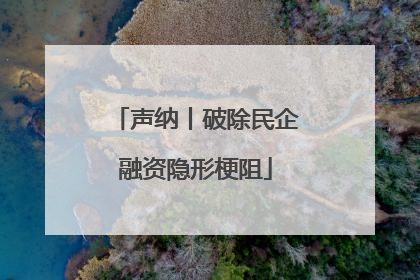 声纳丨破除民企融资隐形梗阻