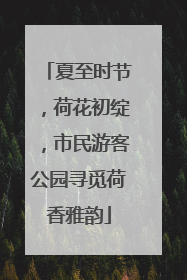 夏至时节，荷花初绽，市民游客公园寻觅荷香雅韵