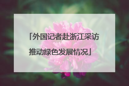 外国记者赴浙江采访推动绿色发展情况
