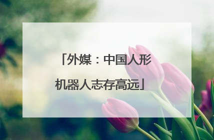 外媒：中国人形机器人志存高远