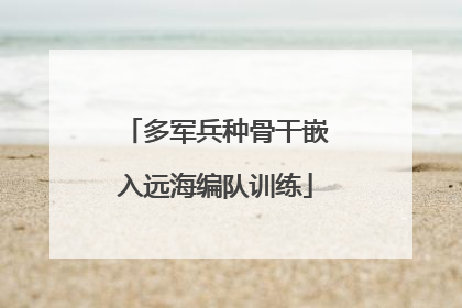 多军兵种骨干嵌入远海编队训练