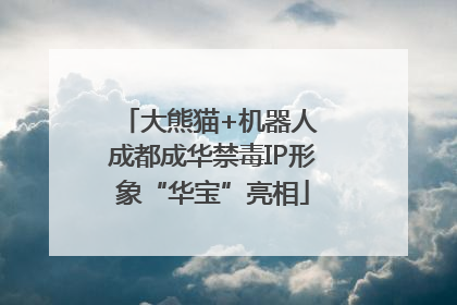 大熊猫+机器人 成都成华禁毒IP形象“华宝”亮相