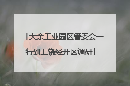 大余工业园区管委会一行到上饶经开区调研