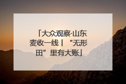 大众观察·山东麦收一线丨“无形田”里有大账