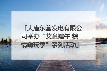 大唐东营发电有限公司举办“艾意端午 粽情嗨玩季”系列活动