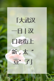 大武汉一日︱汉口老街上新，太“豆”了