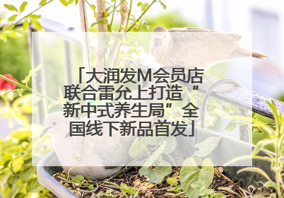 大润发M会员店联合雷允上打造“新中式养生局”全国线下新品首发