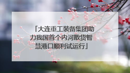 大连重工装备集团助力我国首个内河散货智慧港口顺利试运行
