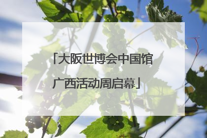 大阪世博会中国馆广西活动周启幕