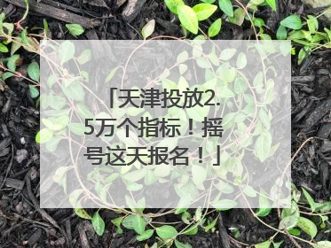 天津投放2.5万个指标！摇号这天报名！