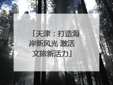 天津：打造海岸新风光 激活文旅新活力
