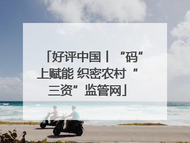 好评中国丨“码”上赋能 织密农村“三资”监管网