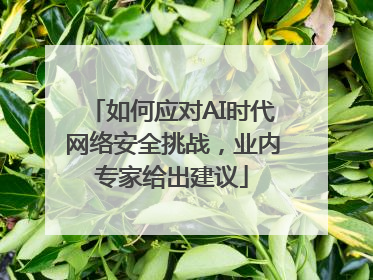 如何应对AI时代网络安全挑战，业内专家给出建议