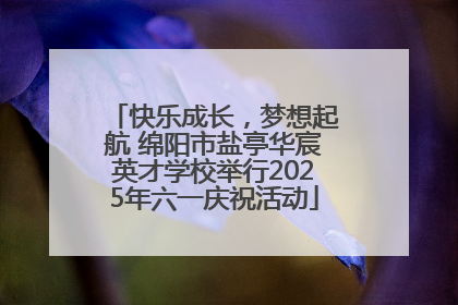 快乐成长，梦想起航 绵阳市盐亭华宸英才学校举行2025年六一庆祝活动